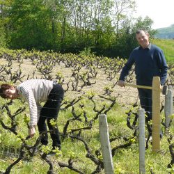 Nicole et Guy BODILLARD vignerons coopérateurs à Juliénas